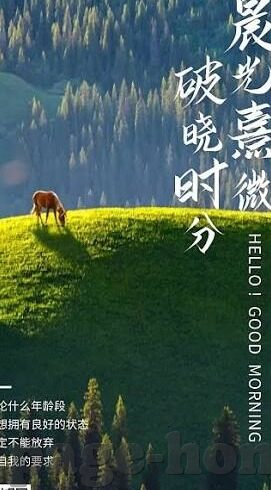 2012中文字幕在线视频-2012，一场关于未来的科幻盛宴