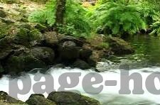 免费强视频一区二区-探索网络视频的多元化选择，一区二区的免费资源