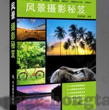 人妻控-探寻人妻控现象，爱之深，情之切