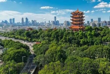 亚洲精品国产自在久国产果冻传媒-亚洲精品国产电影的多元文化视角与艺术探索