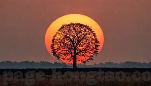 中文字幕伦理电影不卡在线-探索伦理电影的魅力，中文字幕下的不卡在线体验
